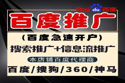 案例分析：SEM托管服务助力电商销量倍增